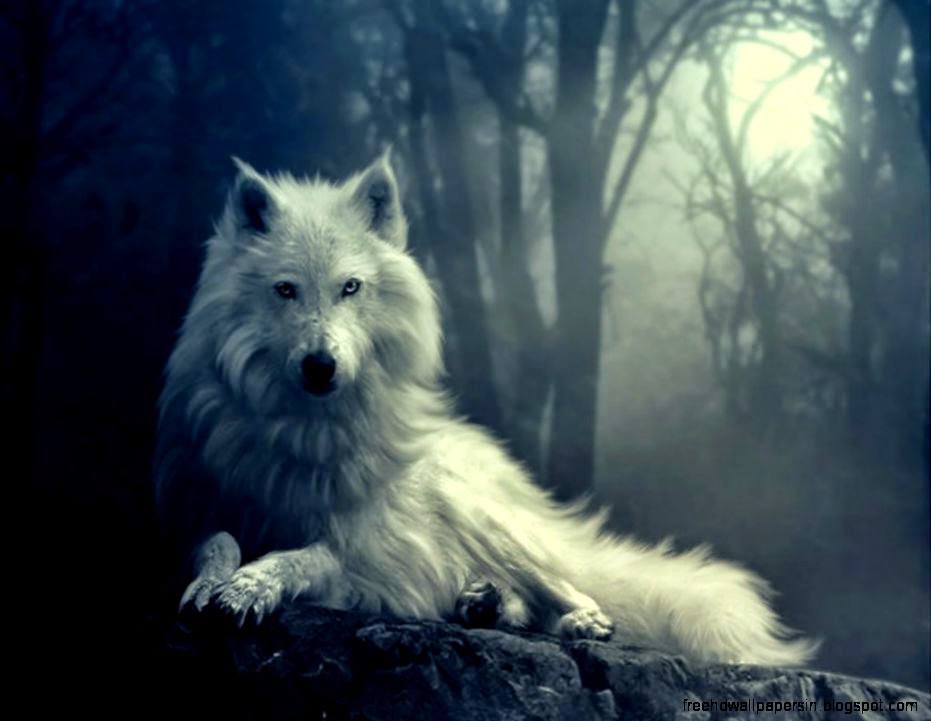 Cool Wallpapers Of Wolves