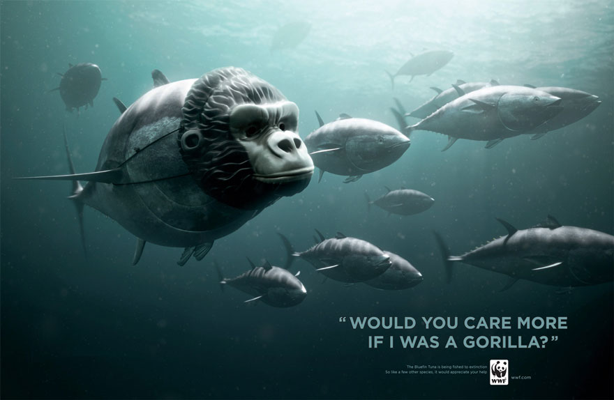 WWF: Bluefin Tuna. Would You Care More If I Was A Panda?