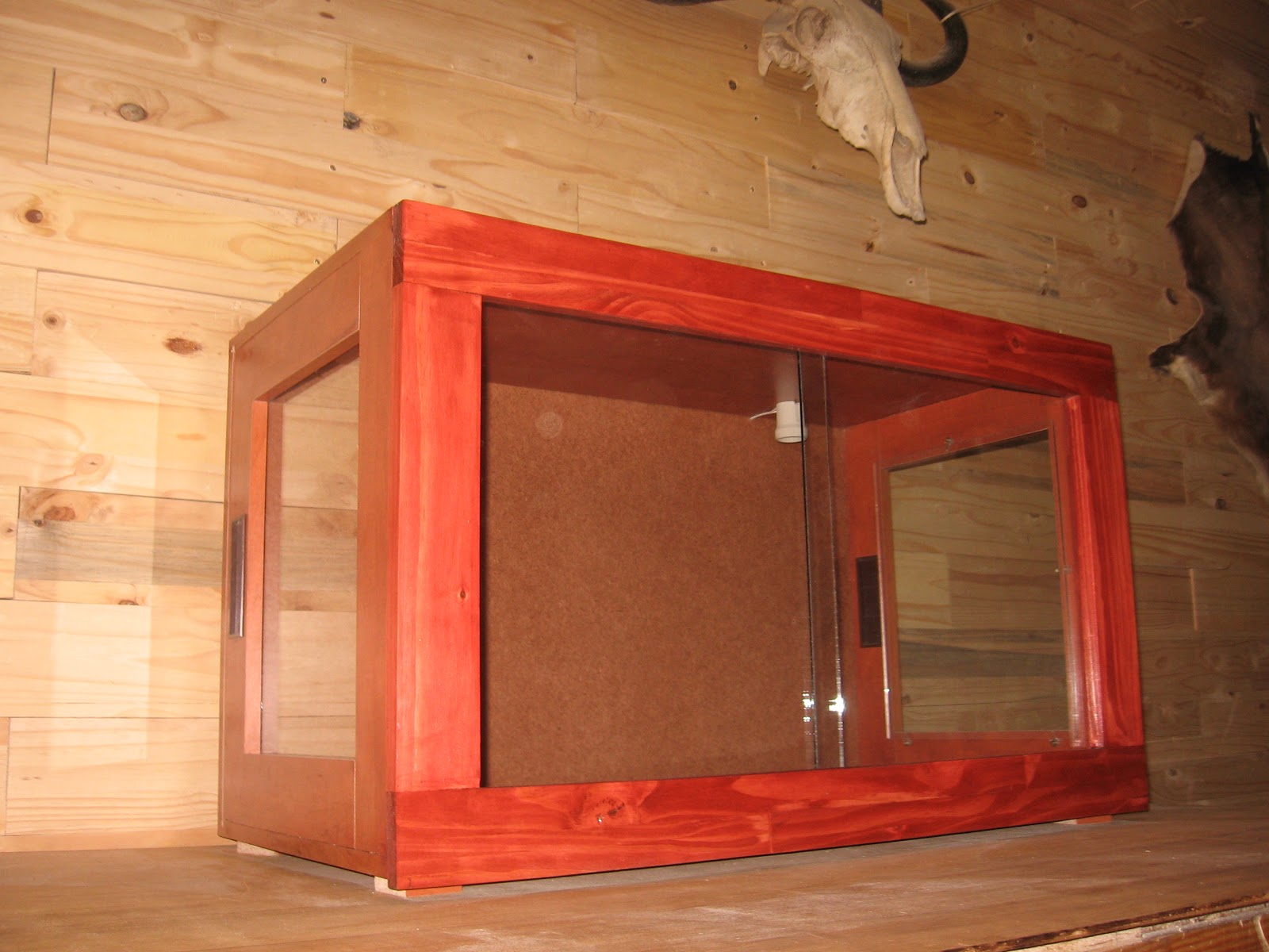 bearded-dragon-toys-amazon-carolina-custom-cages-reptile-carpet.jpg