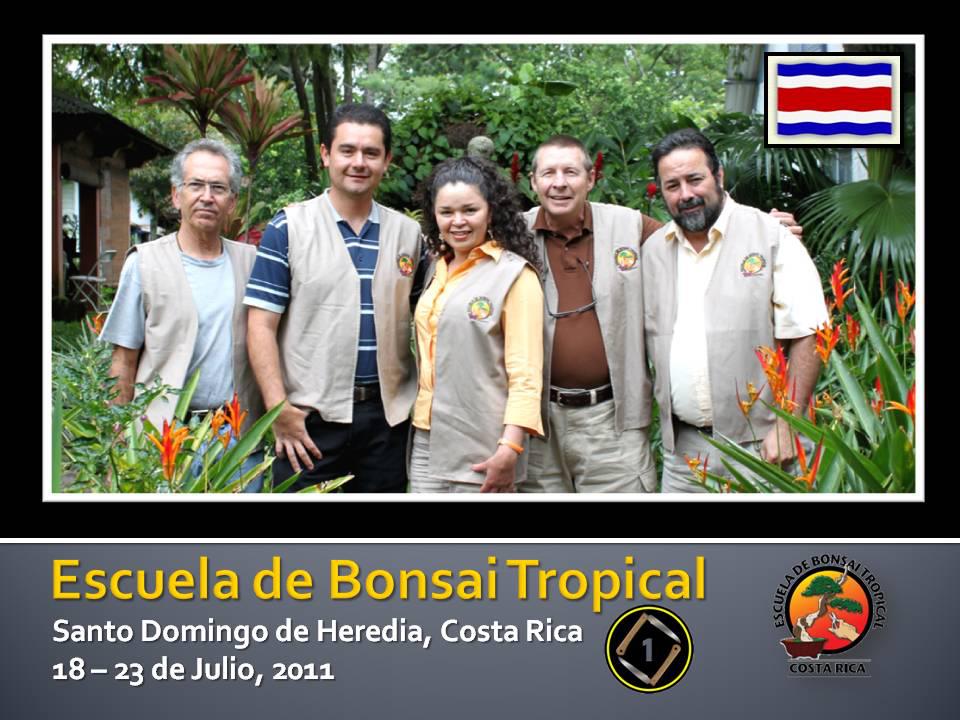 TODO BONSAI Escuela de Bonsai en Costa Rica