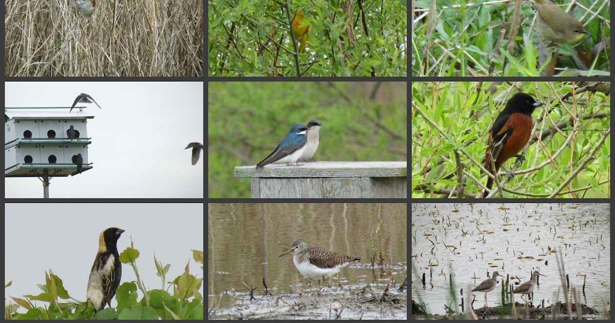 Viewing nature with Eileen Swan Harbor Farms