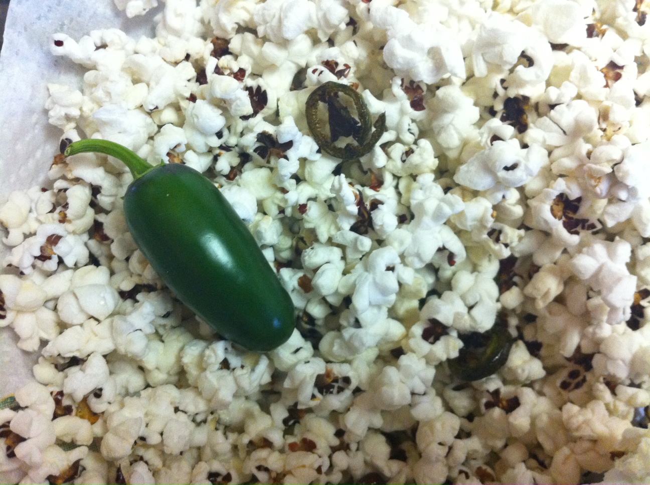 Adventures of an Urban Gardener What to do with too many jalapenos?