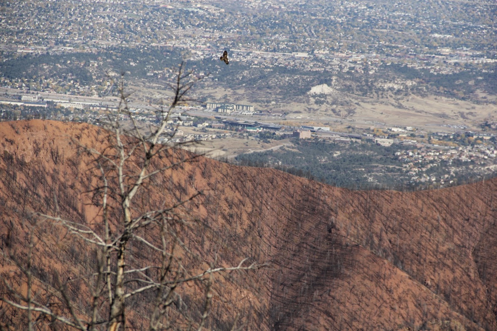Restless native A changed condition Rampart Range Road offers a hard