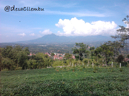 Perbedaan Desa dengan Kelurahan | PORTAL DESA