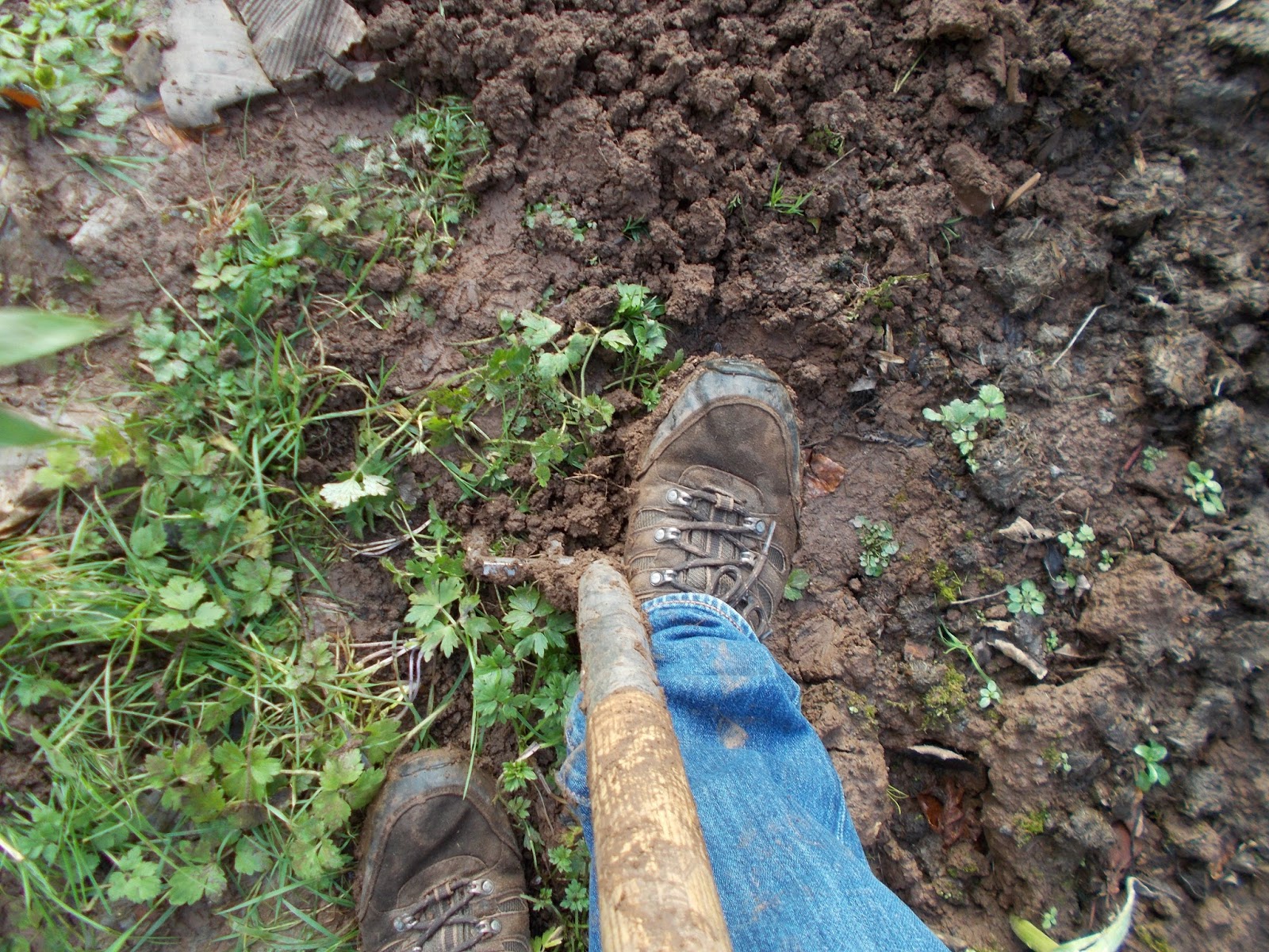 The Green Fingered Blog How to get rid of weeds on an overgrown