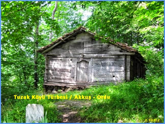 TÜRBELERİMİZ&hellip;[ahteri]: Tuzak Köyü Türbesi / Akkuş - Ordu
