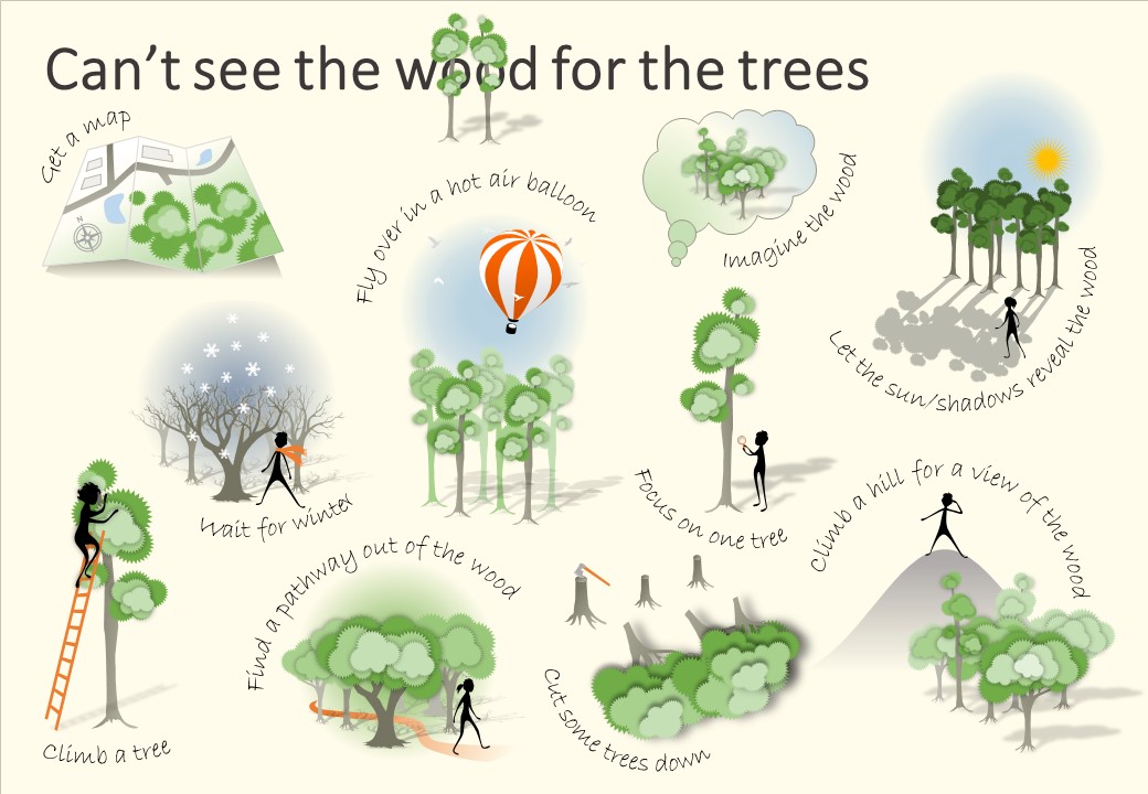 Landscaping Your Life Publication of Can't see the Wood for the Trees