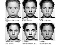 Micro expression training tool 3.0 download