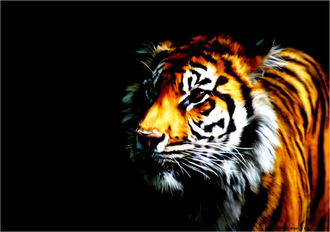 FunMozar – Tiger Wallpapers