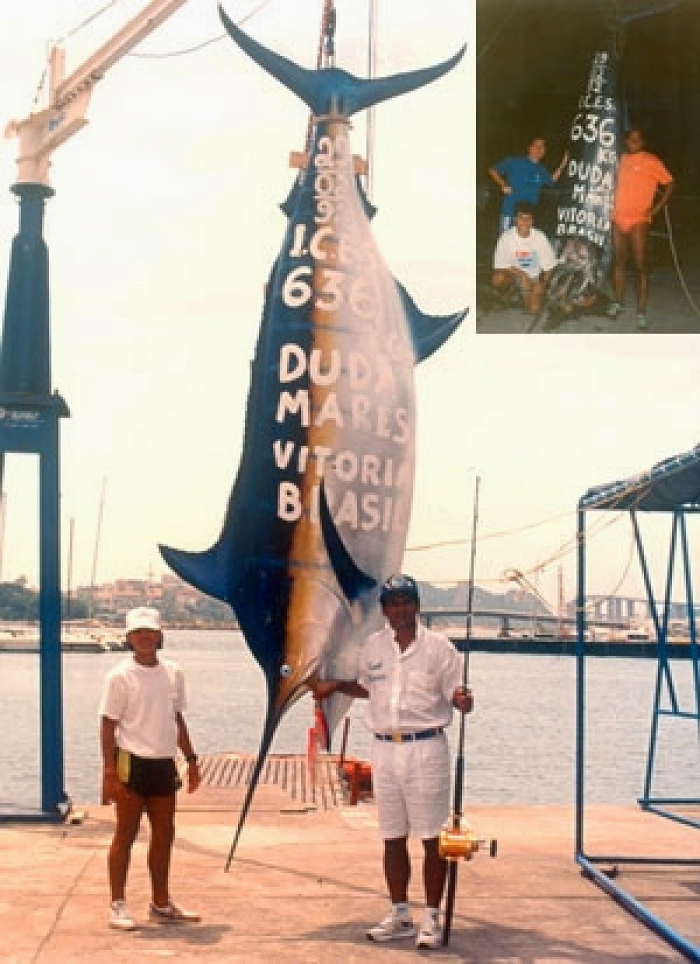 Marlins World Records recocnized by IGFA Ocean Bounty