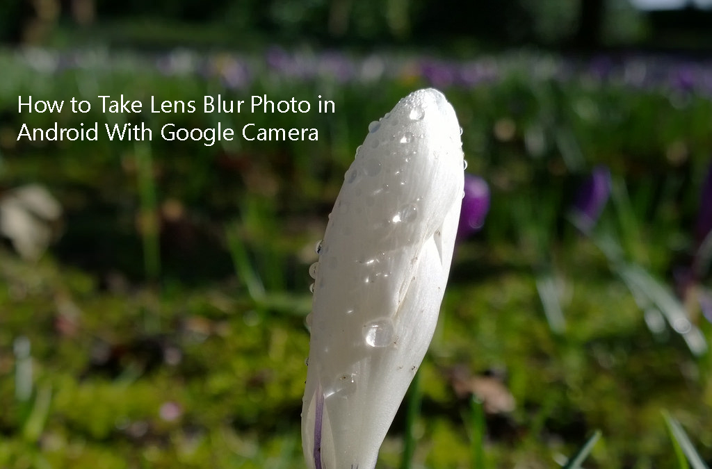 lens blur camera app for android lens blur camera app for android
