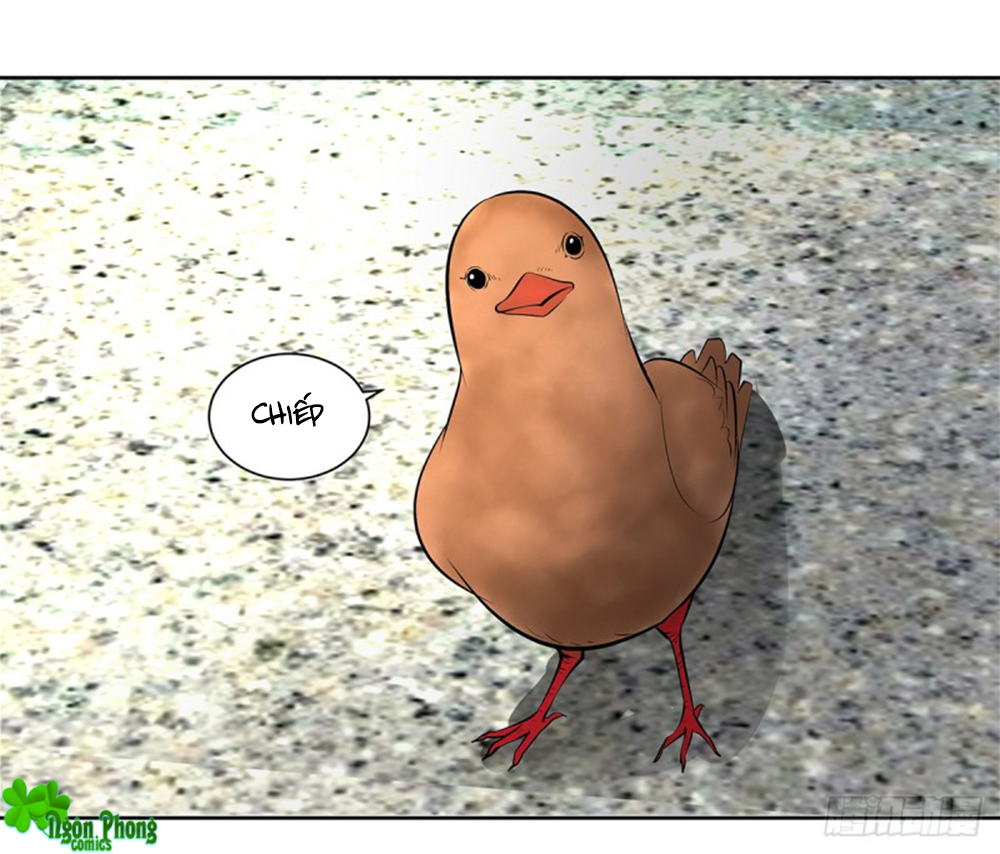 Hỏa Hồ - Chương 45 - Trang 15