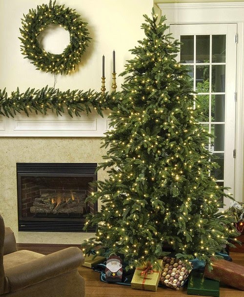 A Brief History of Christmas Trees