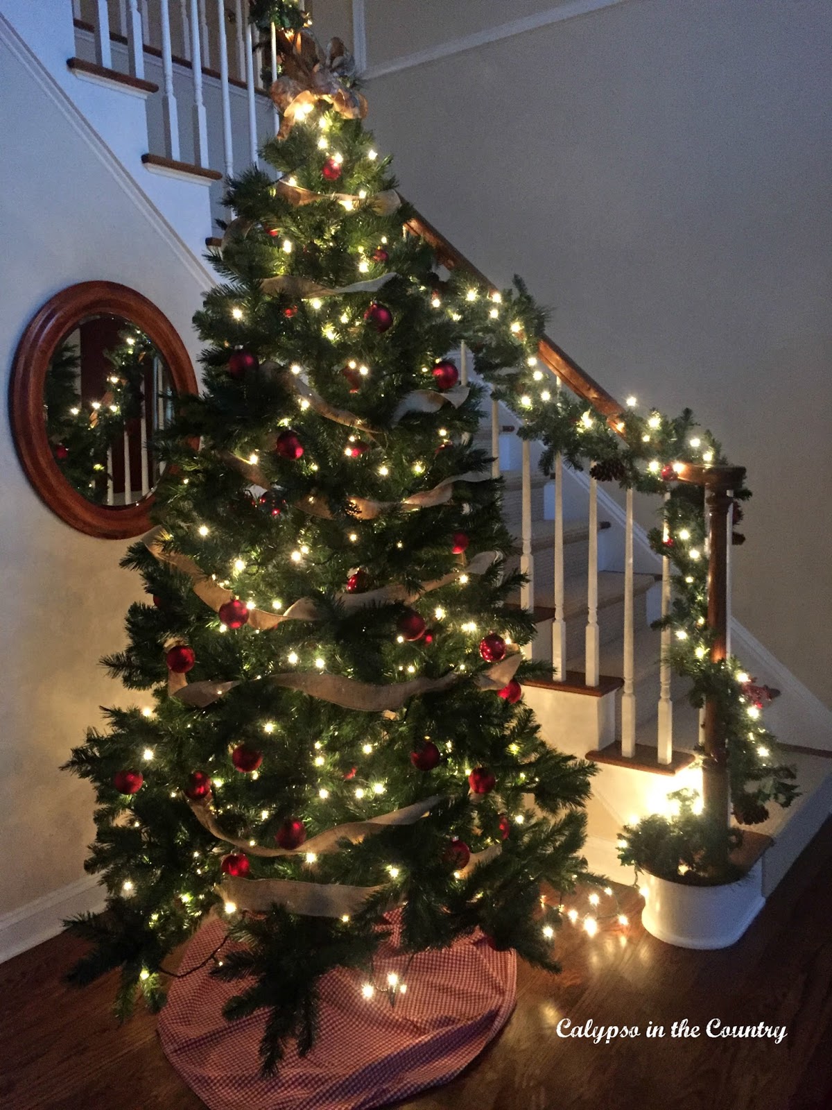 Christmas Tree with Evening Lights
