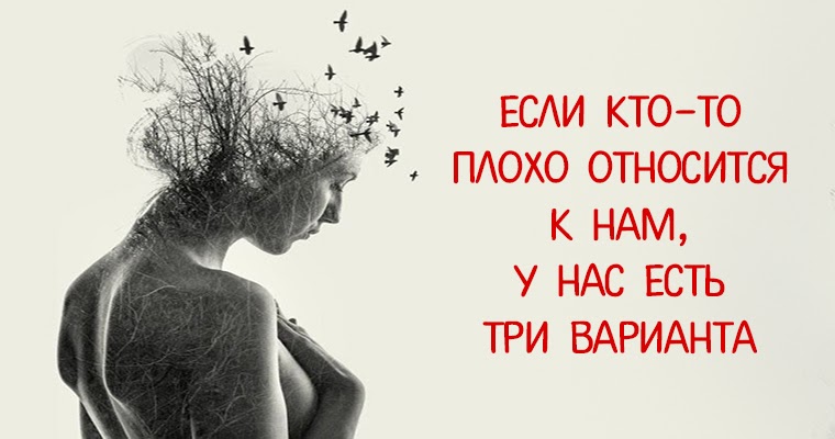 Как вы относитесь к окружающим. Афоризмы о животных. Если вы для человека стали плохим значит много хорошего. Чужая женщина лучше своей. Если кто-то плохо относится к вам.