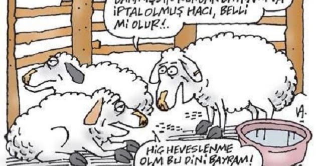 Turkiye Gazetesi Foto Galeri Resimli Bayram Mesajlari Sozleri 2018 Degisik Anlamli Kurban Bayrami Mesajlari Whatsapp Indir Komik Bayram Mesajlari