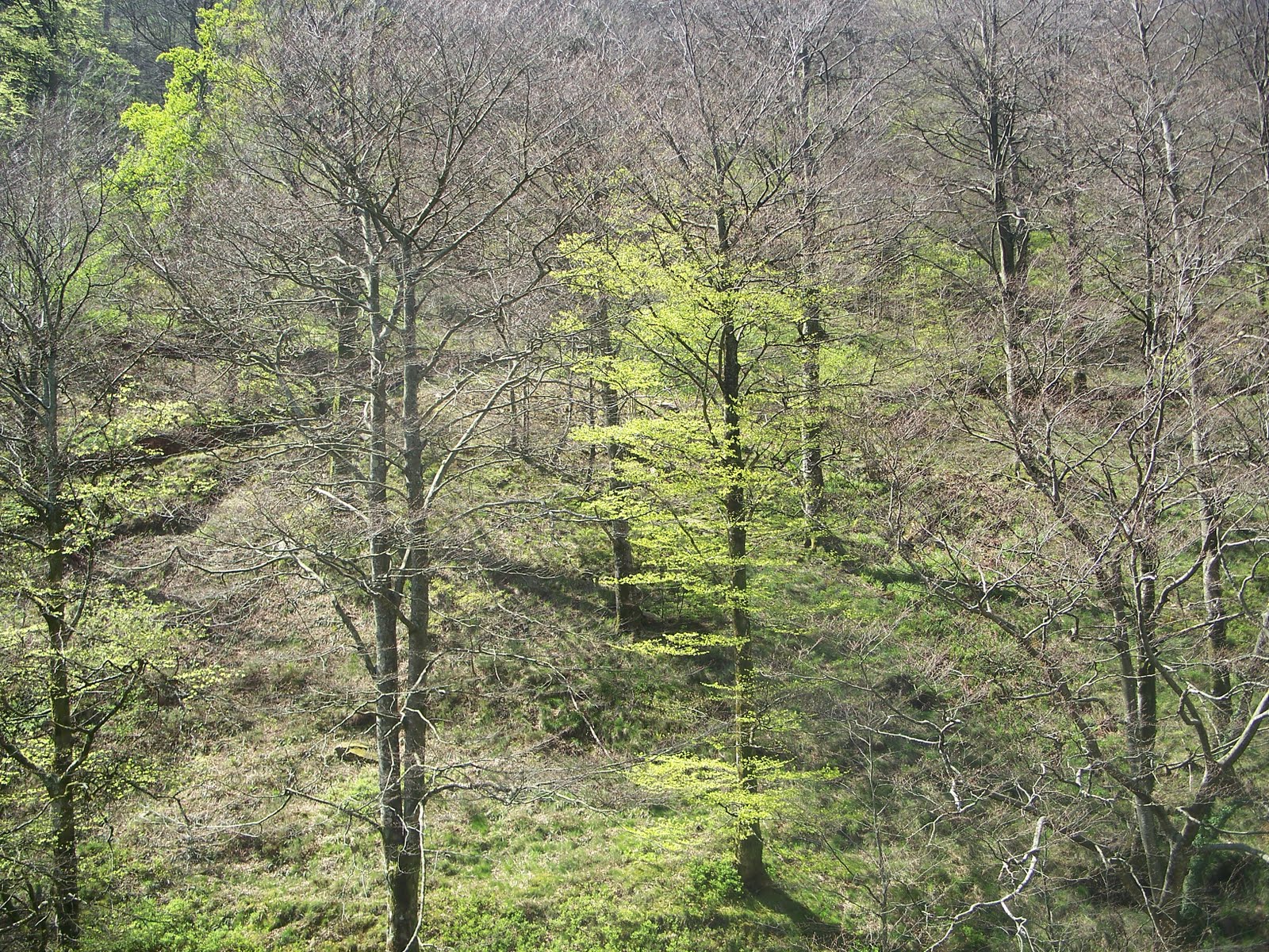 RUEDA LA BOTA RÍO YERA.