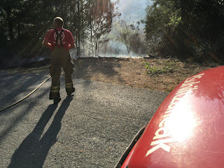 los incendios sofocan un fuego forestal entre Gorostiza y La Siebe