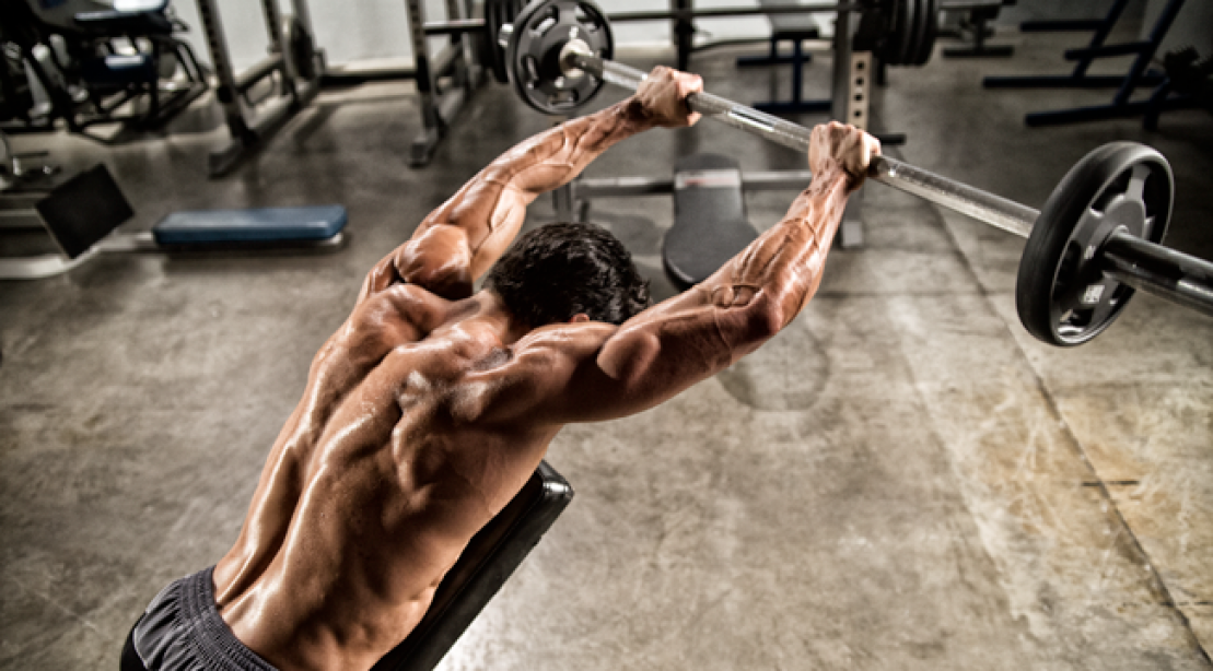 Body Fitness Tips and Tricks Bodybuilding Chest Workout