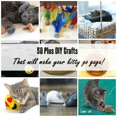 DIY Tutorials: 50 plus easy inexpensive and recycled how to make treats and toys for cats