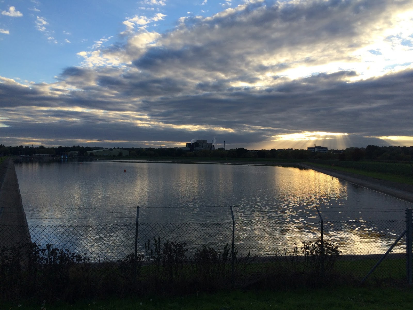 John's Wildlife Wanderings My 2015 Highlights A taste for patching