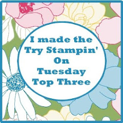 I made the Try Stampin' on Tuesday Top Three