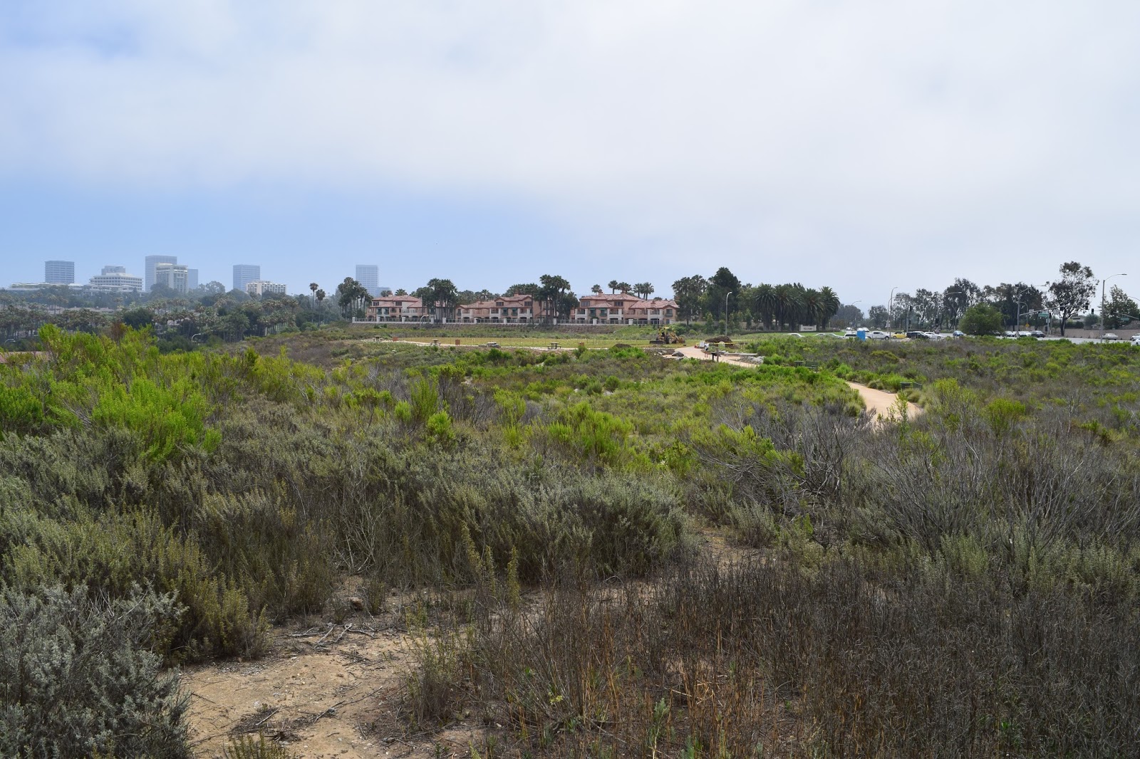 Finding Fishes Adventure Quest 1 Back Bay View Park
