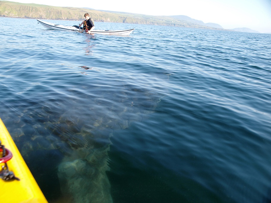 Adventurous Experiences Blog Sea Kayaking with Basking Sharks today!