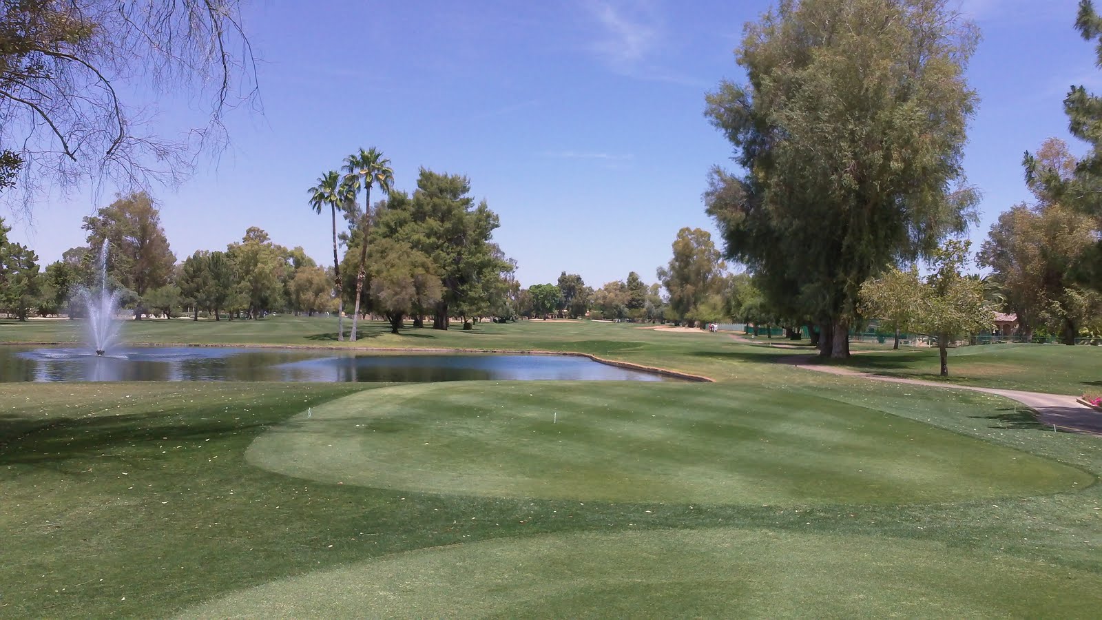 Golf Tips & Quips Orange Tree Golf Resort