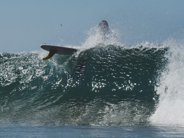 surfin estate surfinestate vincent lemanceau arthur nelli troy mothershead trueames log loggin longboard shape singlefin landes hossegor france shop magasin