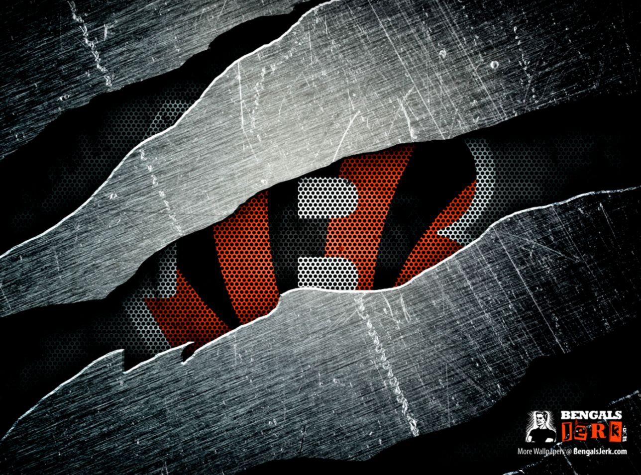 Cincinnati Bengals HD Wallpaper  Full HD Pictures