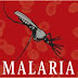 Ο κύκλος ζωής του Πλασμώδιου της ελονοσίας σε video