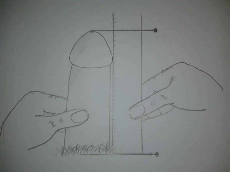 How To Measure Your Penis Correctly 21