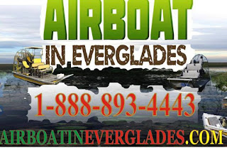 everglades airboat tours tripadvisor airboateverglades