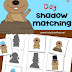 Groundhog Day Shadow Matching Activity