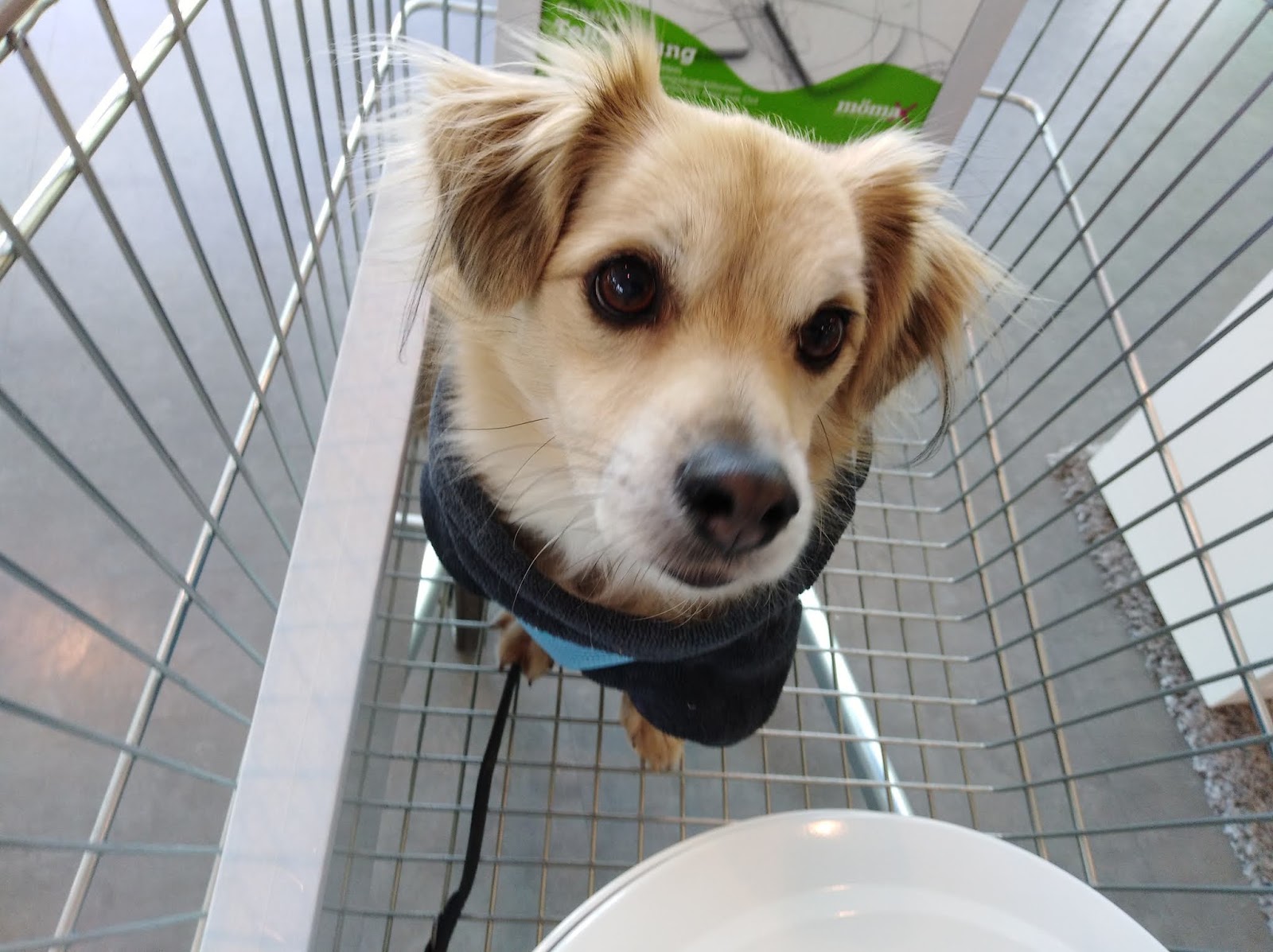 Neuigkeiten aus dem Auenland Aufgeräumt