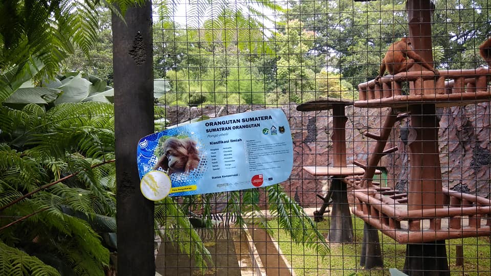 Informasi dan Harga Tiket Masuk Wisata Kebun Binatang