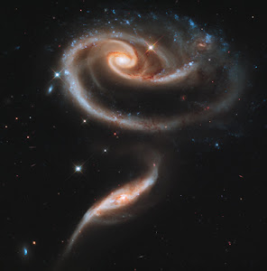 Rose made of two galaxies