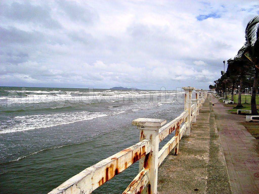 WHERE TO EAT IN ROXAS CITY - Sefoods at Baybay Beach and People's Park