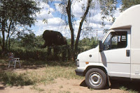 Zimbawe-PP+éléphant