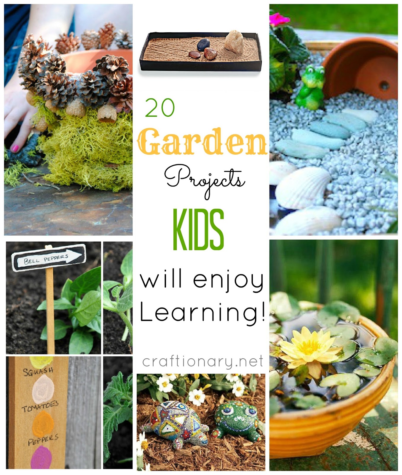 Gardening ideas