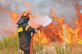 Πάτρα: Γυναίκα ΡΟΜΑ πιάστηκε ενώ έβαζε φωτιές πίσω από το νοσοκομείο του Ρίου