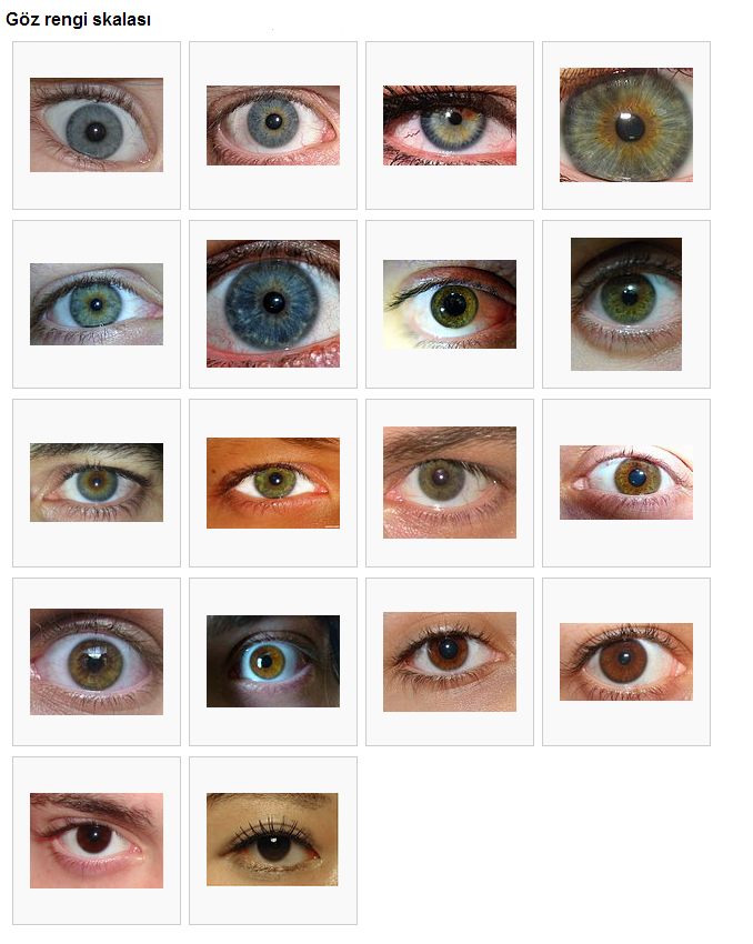 Gen Haritası Projesi ( Irkların Kökeni )