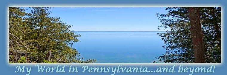 My World in Pennsylvania and Beyond