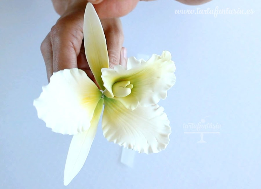 Paso a paso Orquídea