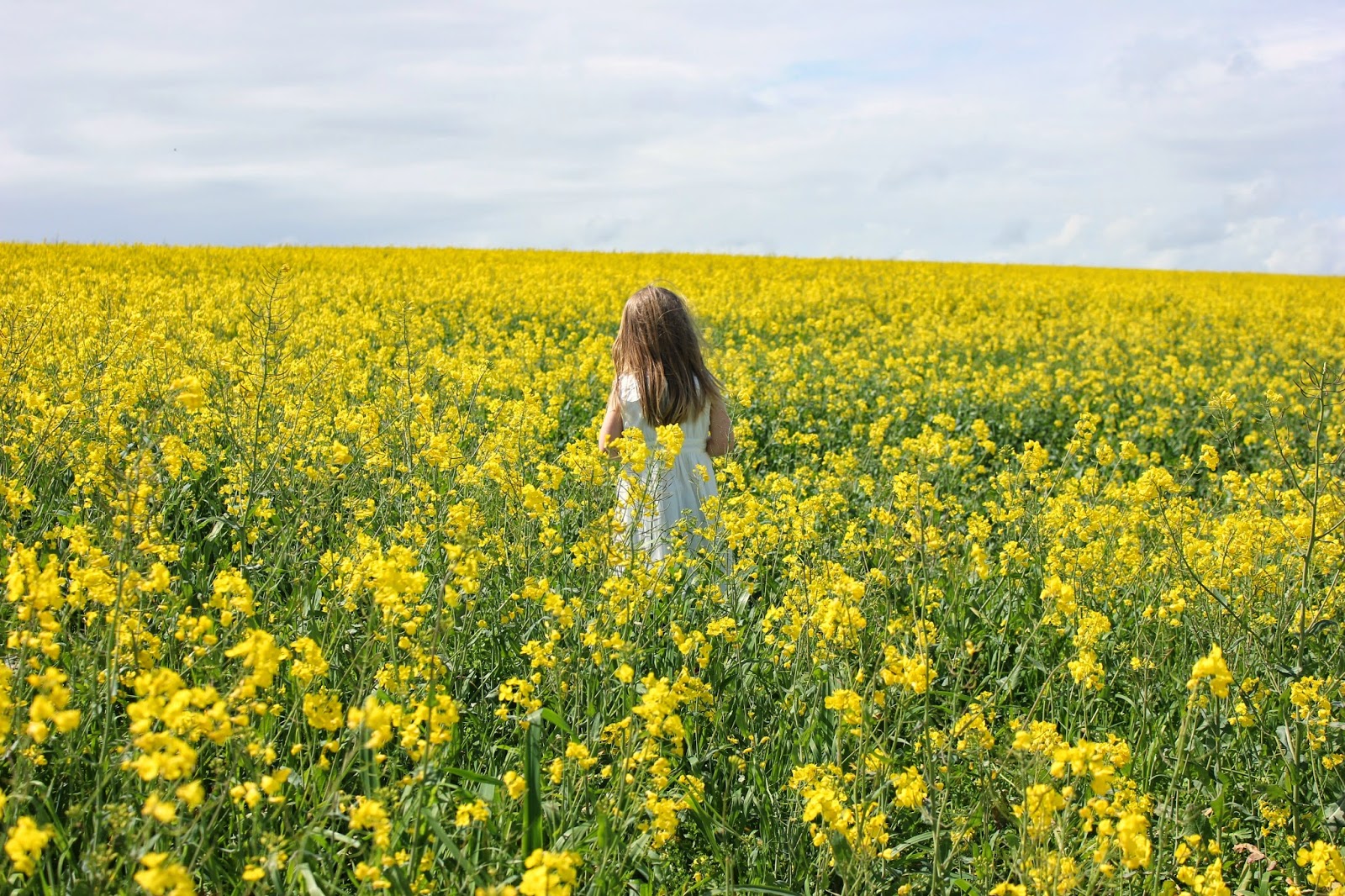 Girl in a golden field of sunshine
