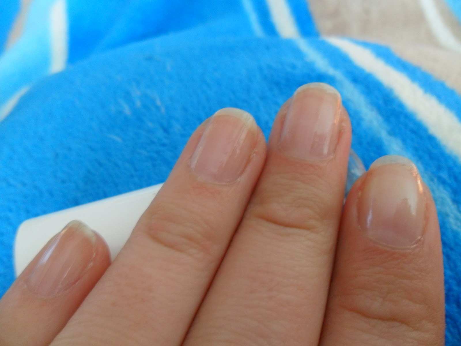 Neelas Welt Essence Anti Split Nail Sealer