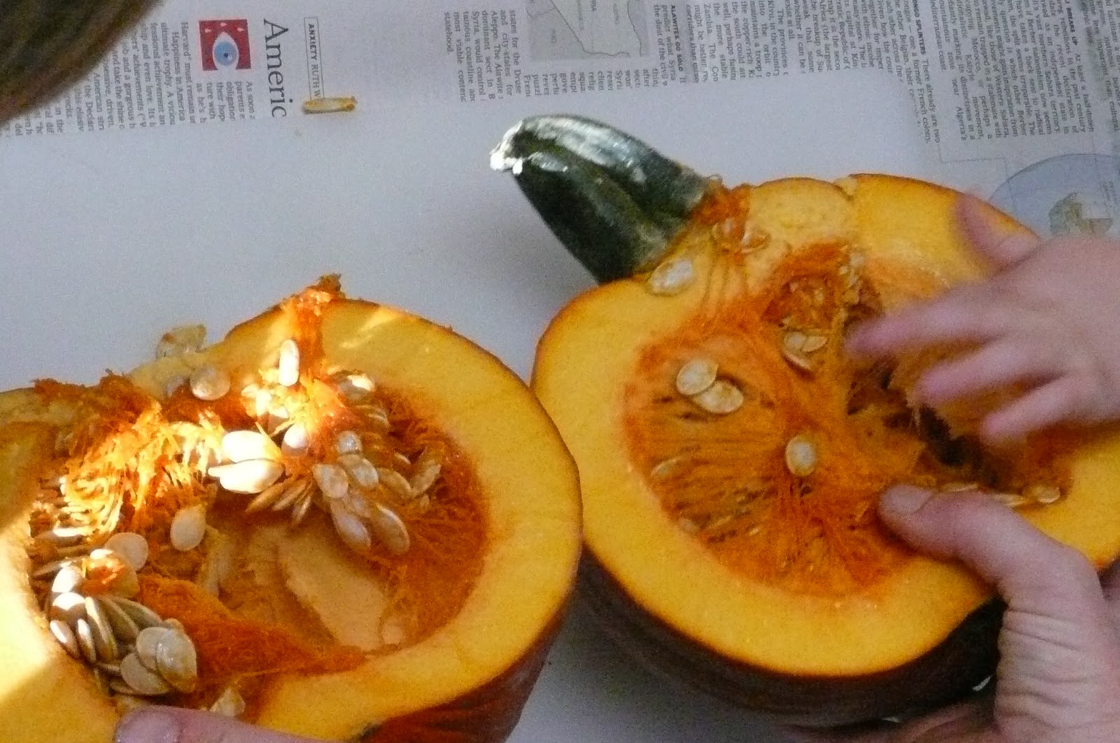 Montessori Teachings Pumpkin Dissection