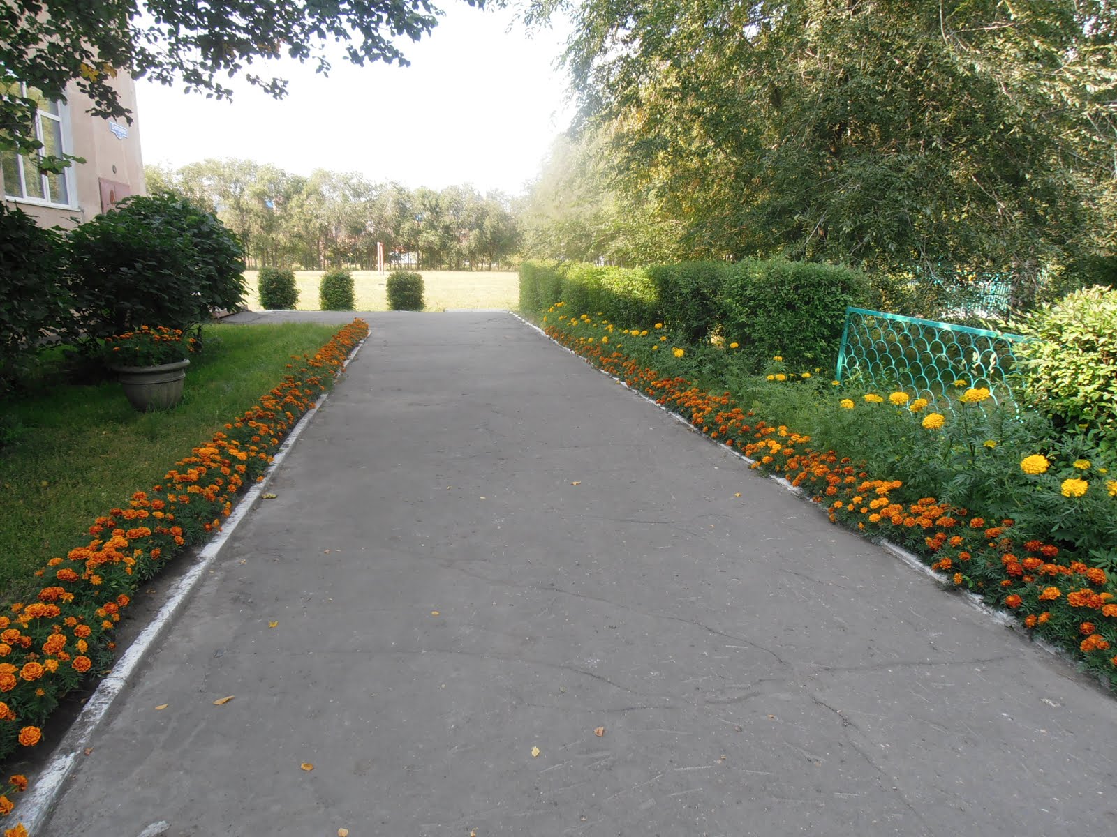 Клумбы в школе. Место сбора школьный двор. Дети на пришкольном участке. Место сбора школьный двор. Современный школьный двор.