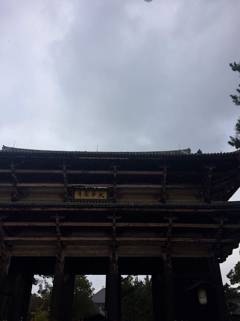 Travel: Nara, Japan